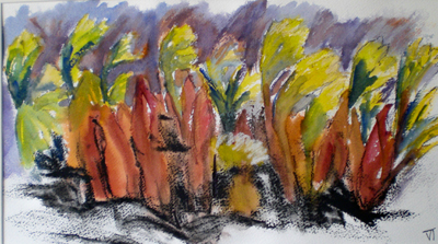Glamorgan Hillside