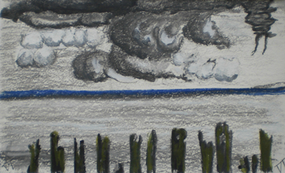 Trees at Empuries II