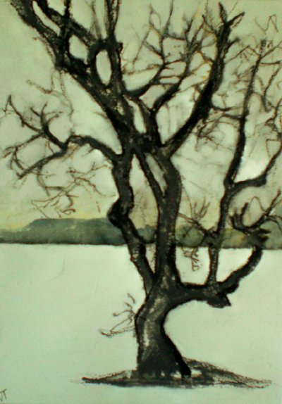 Trees at Empuries II