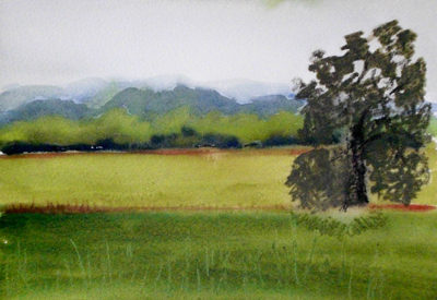 Glamorgan Hillside